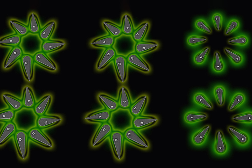 Professor Farnaz Niroui grow precise arrays of nanoLEDs