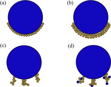 A review of bubble surface loading and its effect on bubble dynamics