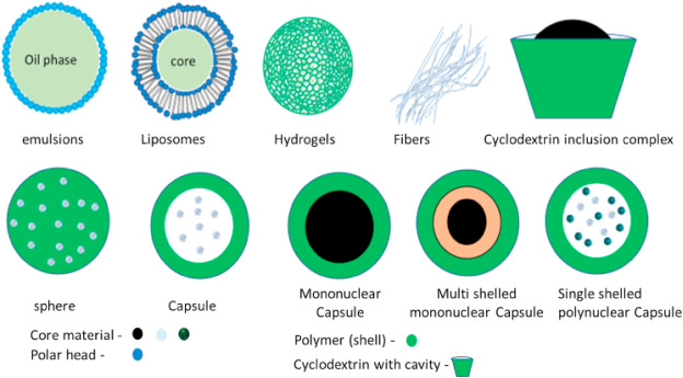 Recent progress in micro and nano-encapsulation techniques for environmental applications: A review