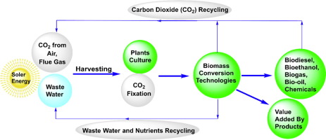 Life cycle assessment with the transition from lignocellulose- to microalgae-based biofuels: A review