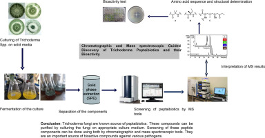 Chromatographic and Mass Spectroscopic Guided Discovery of Trichoderma Peptaibiotics and their Bioact