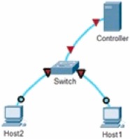 A tutorial on software-defined networks emulation