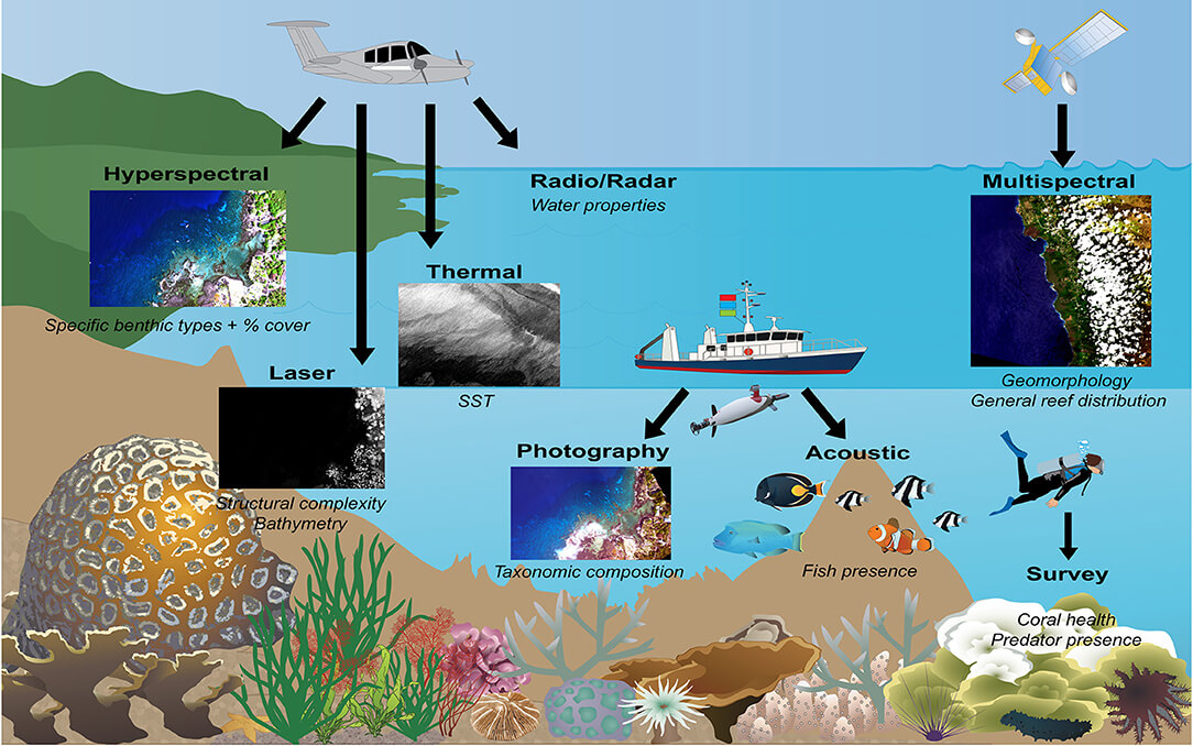 New Technologies for Monitoring and Upscaling Marine Ecosystem Restoration in Deep-Sea Environments