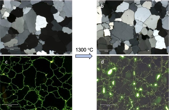 Process mineralogy of unconventional mineral deposits examples of applications and challenges