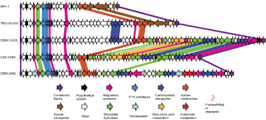 Parageobacillus thermoglucosidasius as an emerging thermophilic cell factory