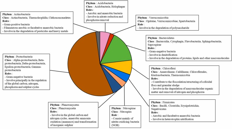 The influence of process operating conditions on the microbial community structure in the moving bed 